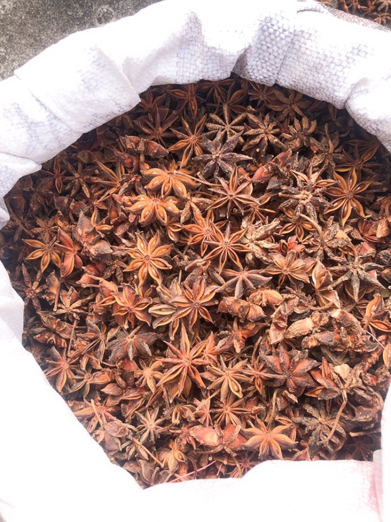 包邮广西八精选大料大红八角秋果干枝碎片足干批发产地