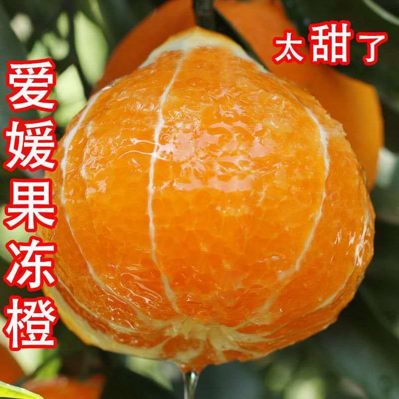 爱媛次果高次果应季水果爱媛果冻橙产地直发一手货源