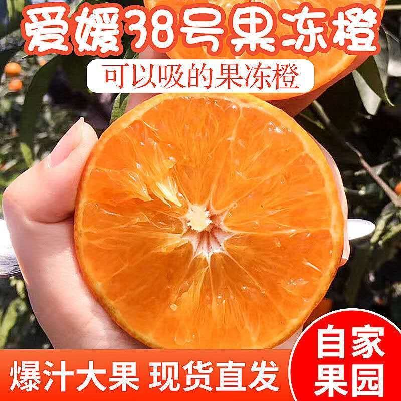 爱媛次果高次果应季水果爱媛果冻橙产地直发一手货源
