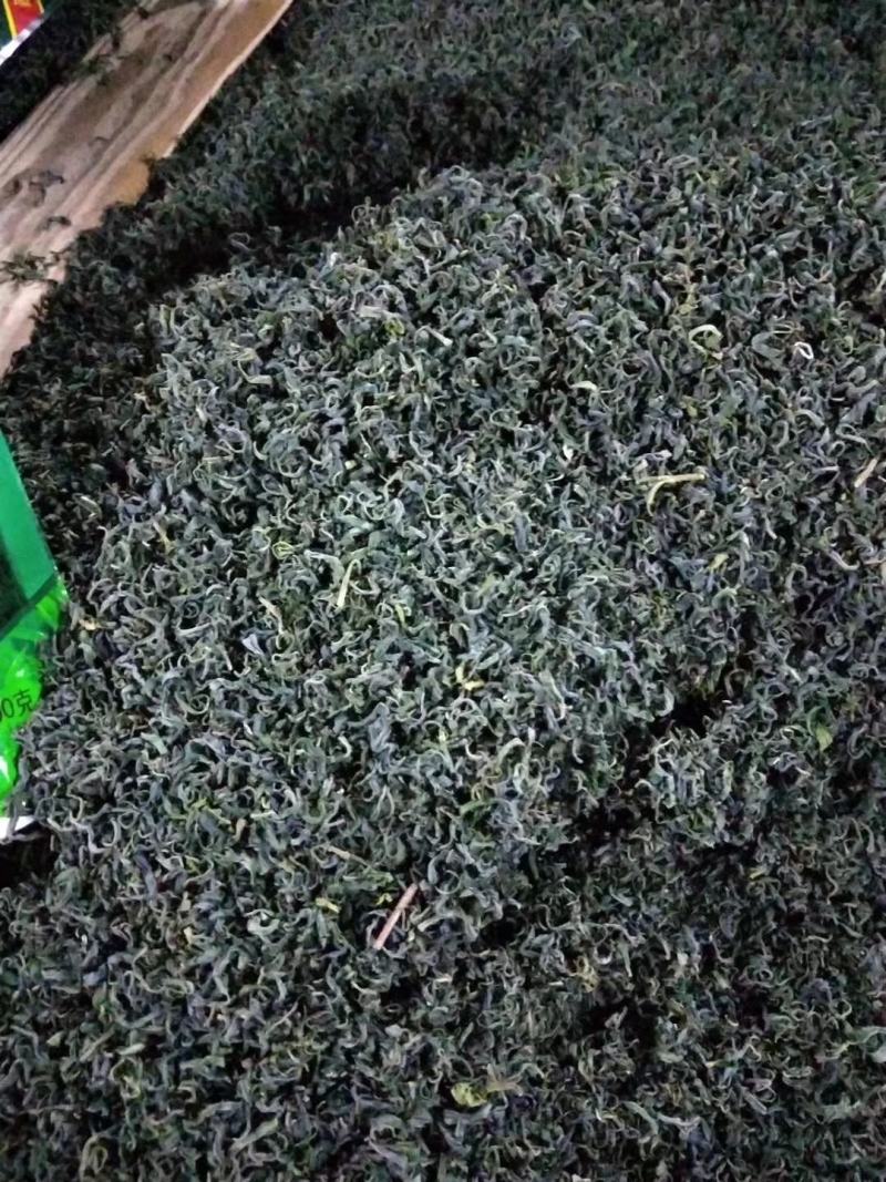 绿茶明前茶新茶春茶上市毛尖茶乡下茶农村茶叶