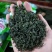 绿茶明前茶新茶春茶上市毛尖茶乡下茶农村茶叶