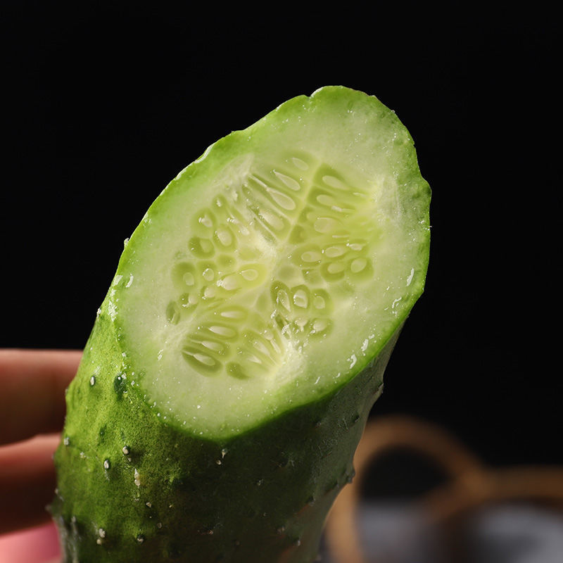 山东旱黄瓜，网红大刺瘤带刺水果黄瓜