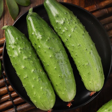 山东旱黄瓜，网红大刺瘤带刺水果黄瓜