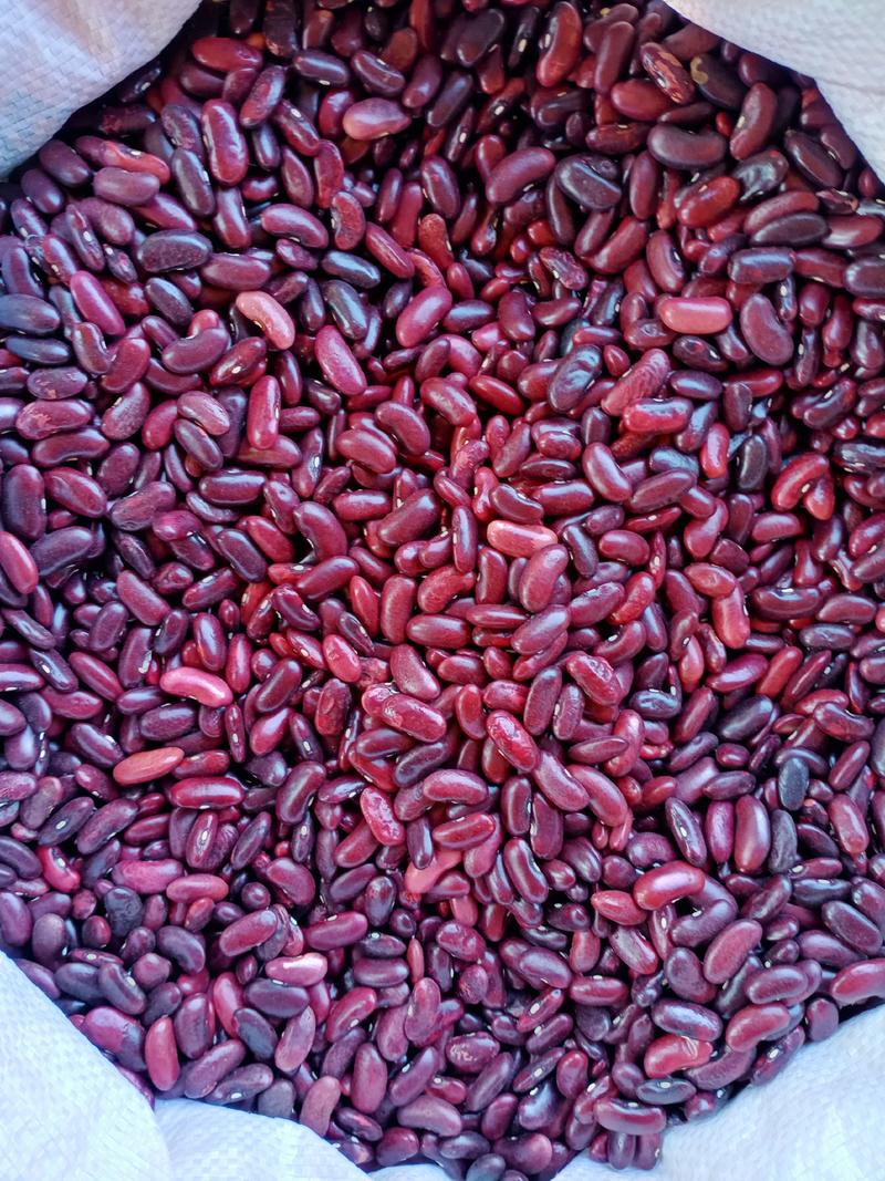 红豆，品质好，质量保证