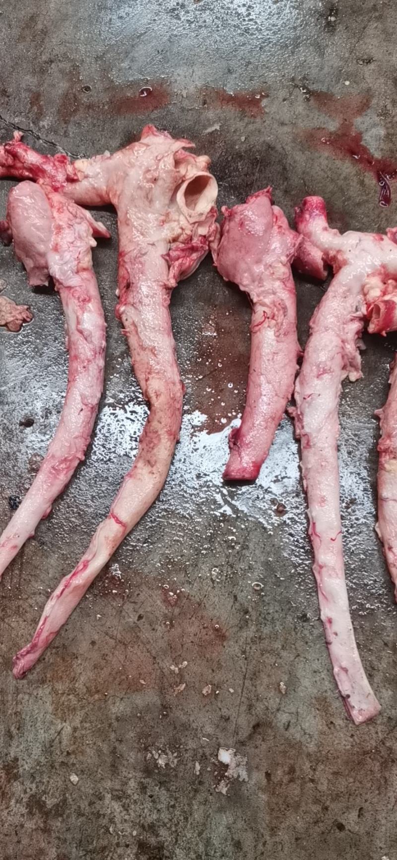 纯干牛黄喉，鲜宰，现修，先打真空，不泡水