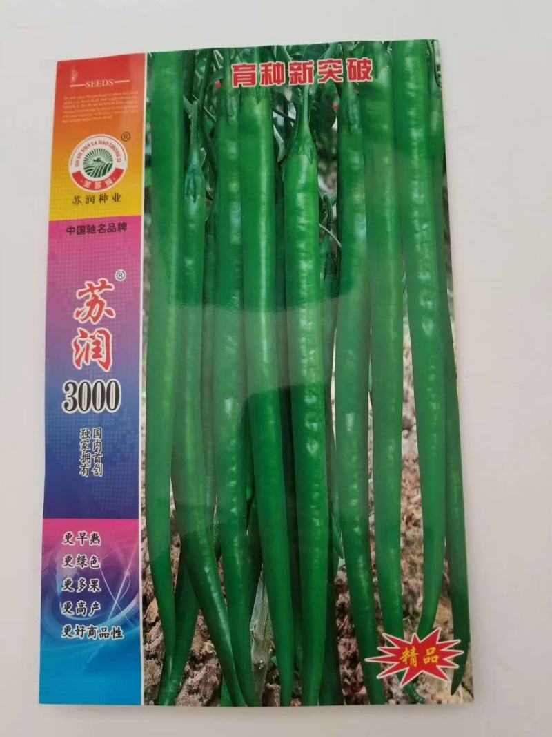苏润3000特长线椒种子一代杂交品种早熟性好基地专用种子