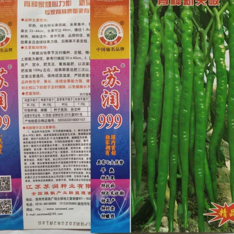 苏润999特长线椒种子果长45～50厘米抗病性强高产种子
