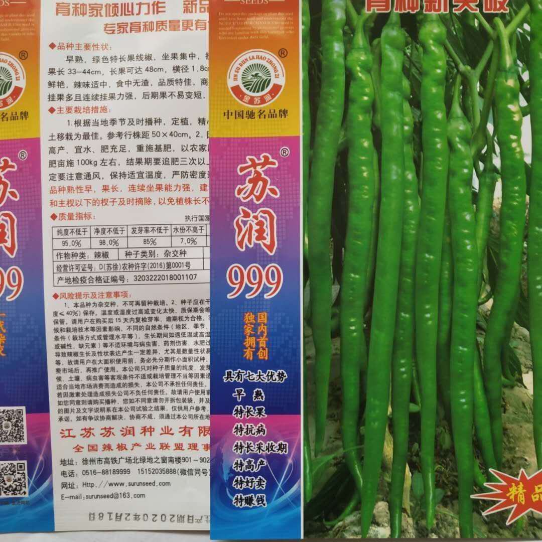 [辣椒种子批发]苏润999特长线椒种子果长45～50厘米抗病性强高产种子