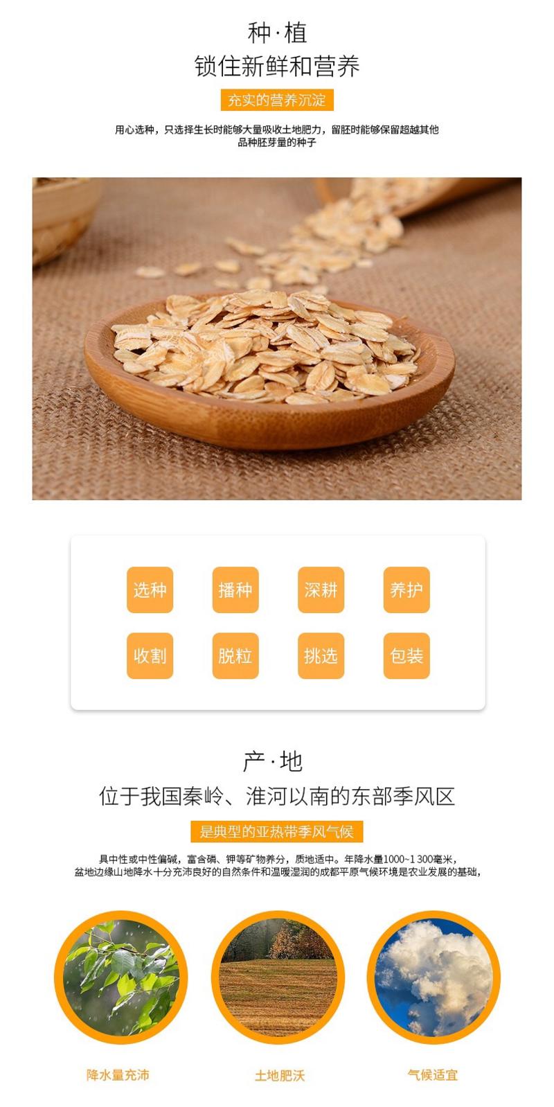 生燕麦片五谷杂粮原料煮粥食品零食加工原料整件发货