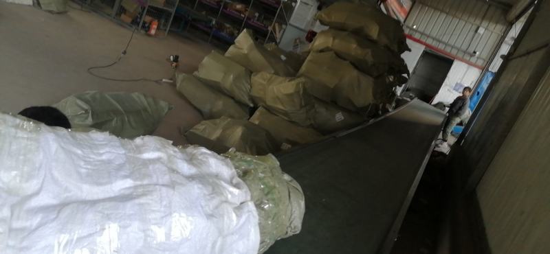 脆皮金桔金钱桔盆栽带果发货观赏的食用的号。