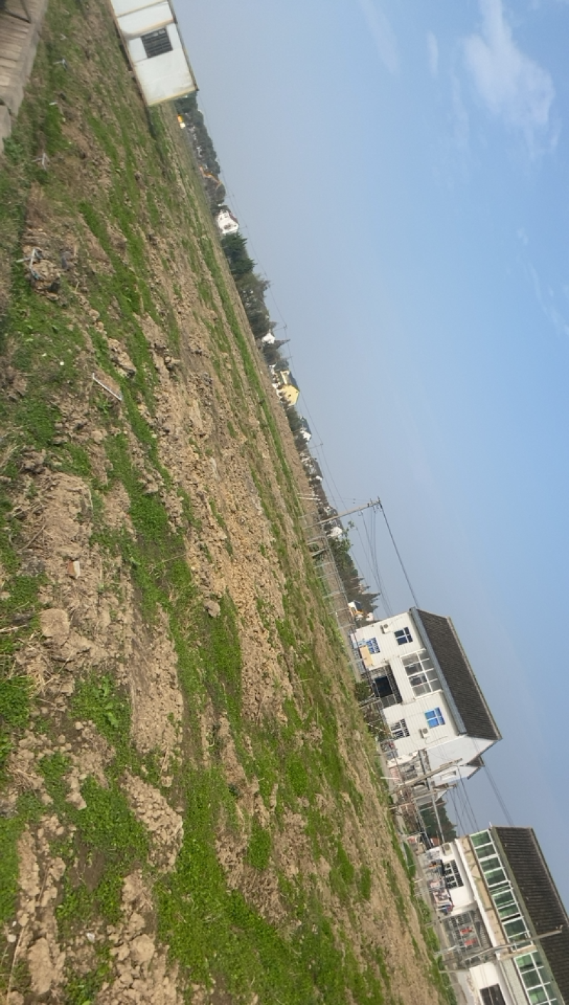 上海市金山区有良地出租有意向的朋友欢迎来参观