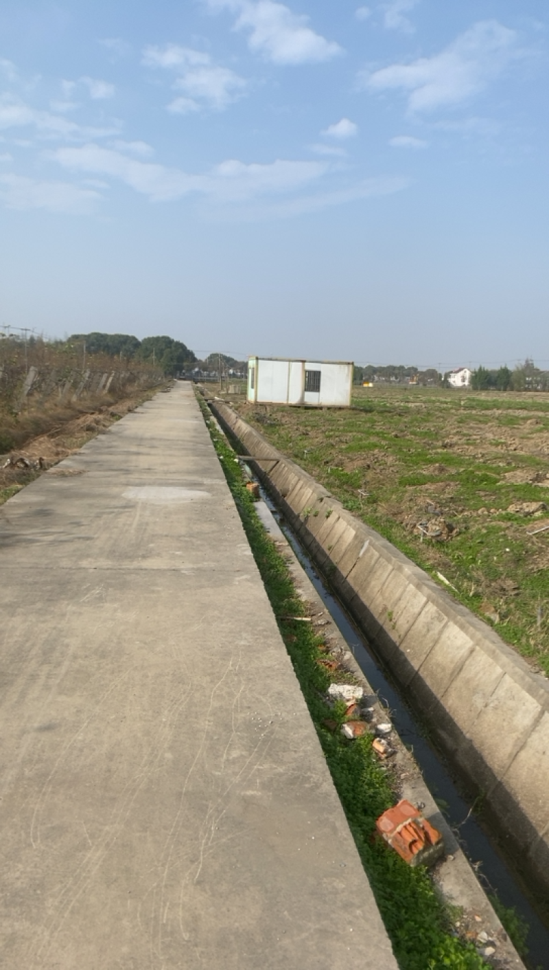 上海市金山区有良地出租有意向的朋友欢迎来参观