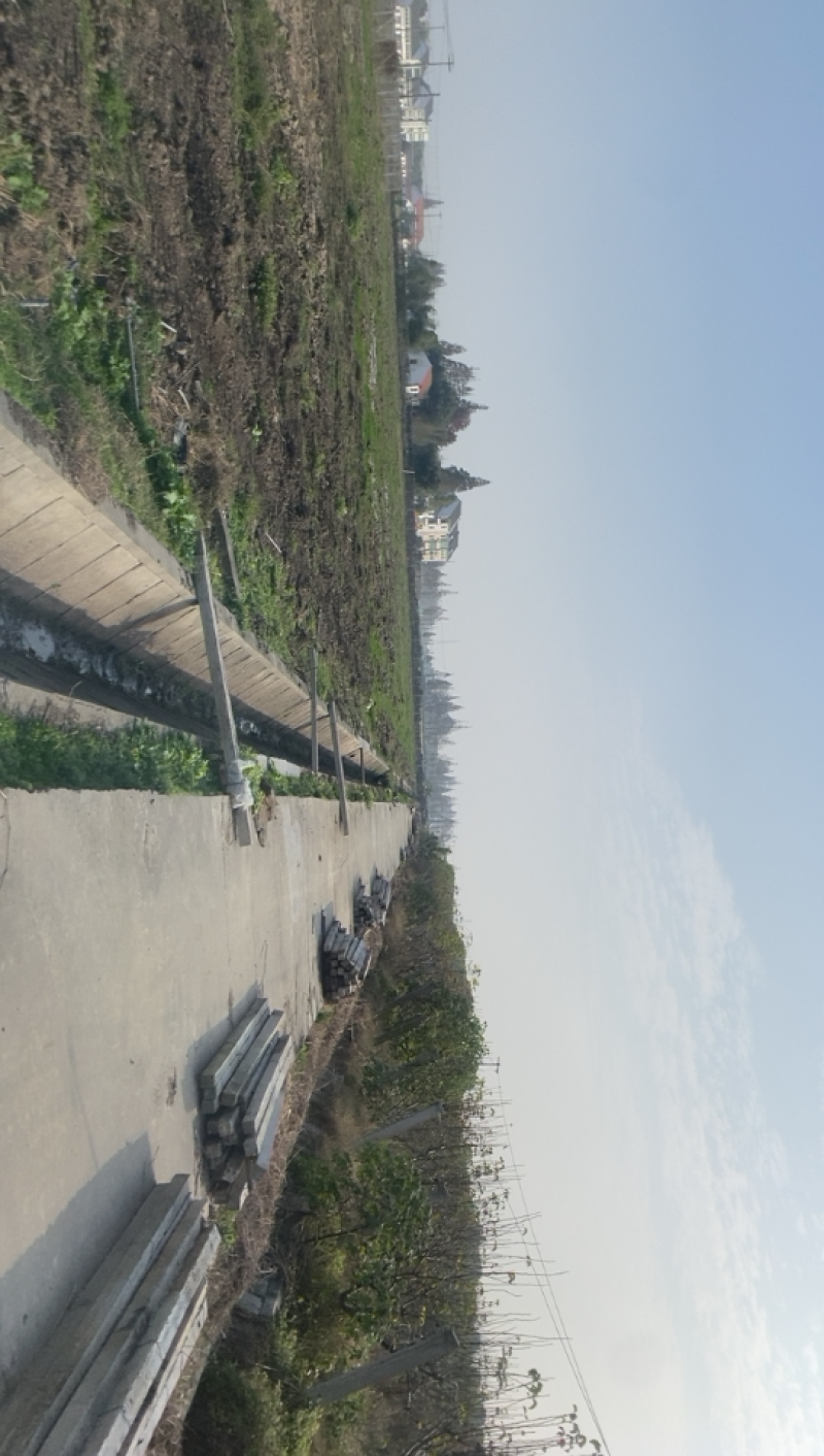 上海市金山区有良地出租有意向的朋友欢迎来参观