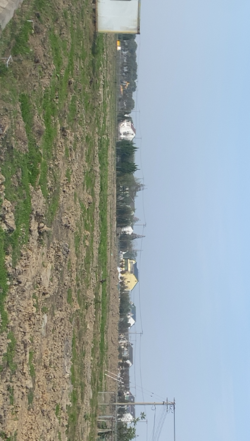 上海市金山区有良地出租有意向的朋友欢迎来参观