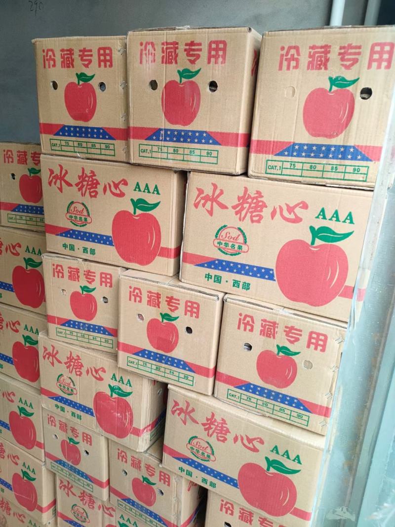 山西芮城冰糖心红富士
