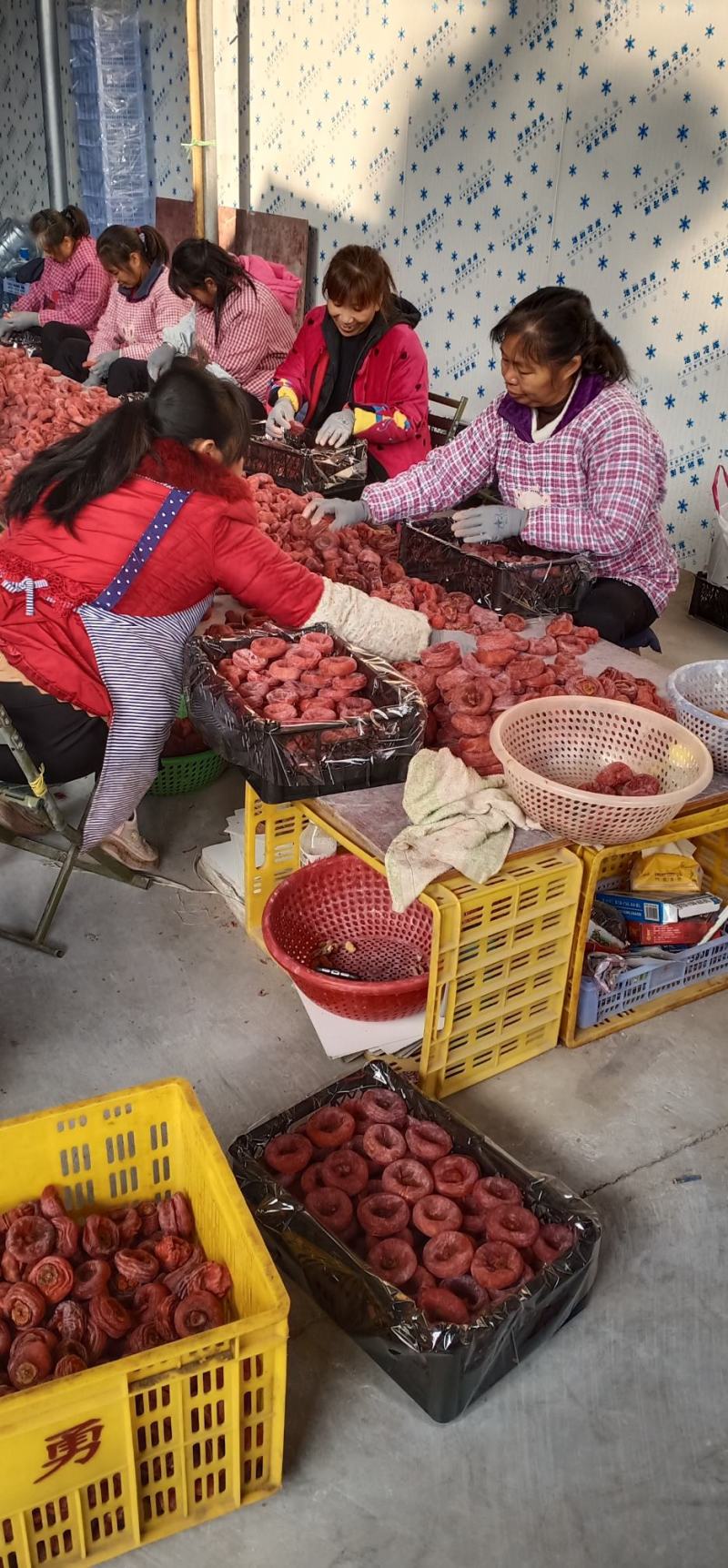 【精品】广西特产桂林优质柿饼品质保障对接各级批发