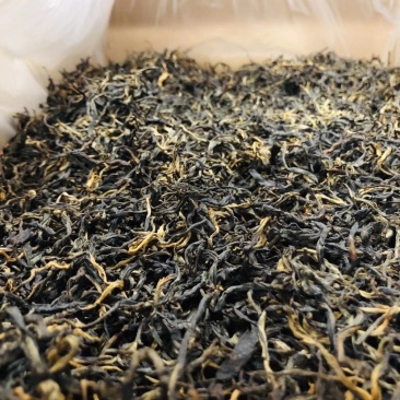 凤庆滇红茶红茶茶叶茶古树红茶厂家直销包邮