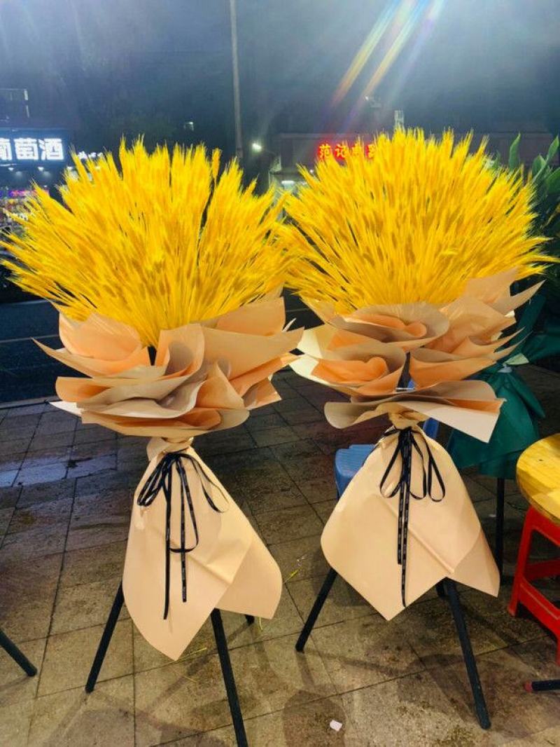 天然麦穗干花花束开业大麦客厅田园装饰摆件干花插花拍摄道具