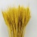 天然麦穗干花花束开业大麦客厅田园装饰摆件干花插花拍摄道具