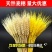 天然麦穗干花花束开业大麦客厅田园装饰摆件干花插花拍摄道具