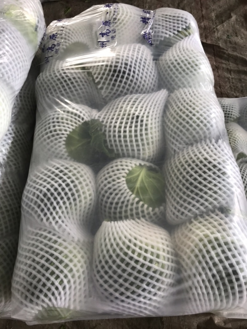 湖北钟祥胡集关山旺旺甘蓝通货