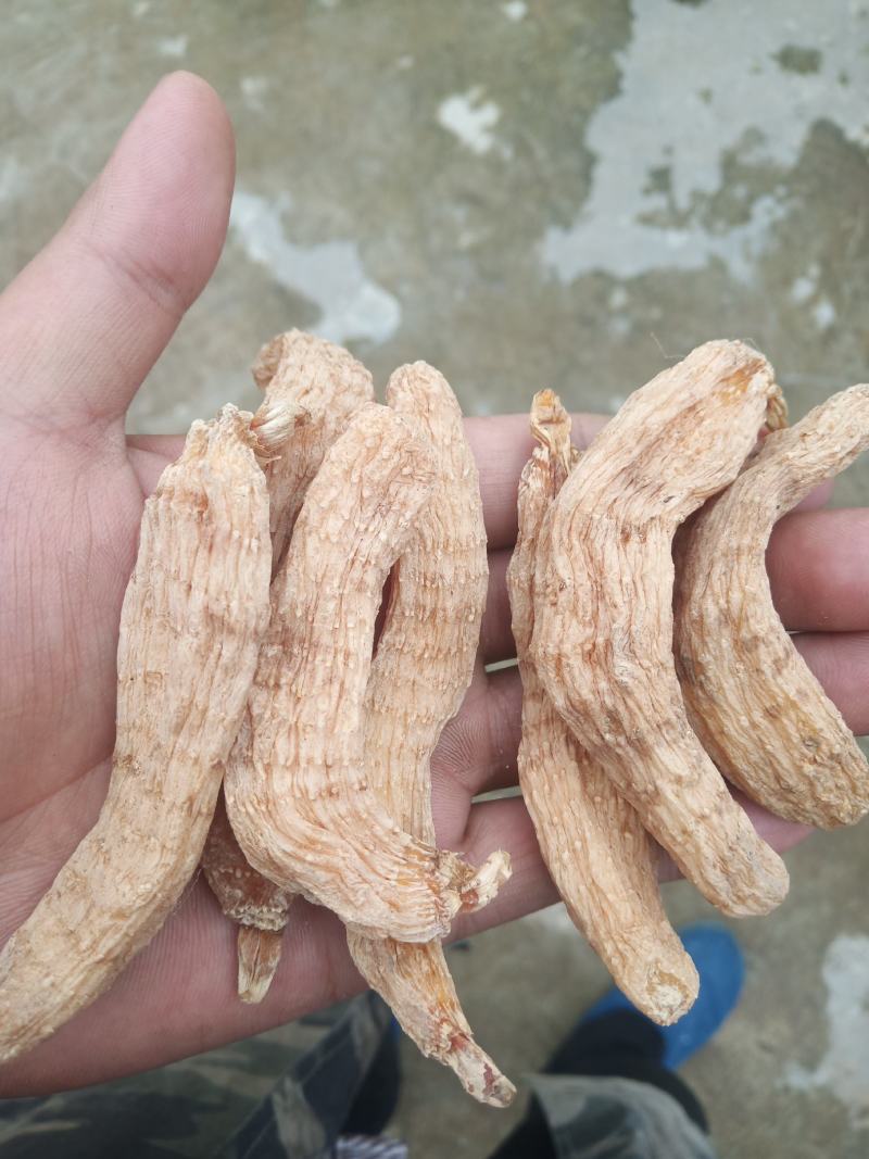 [产地直销]足干无硫天麻批发自产自销质量好干度好