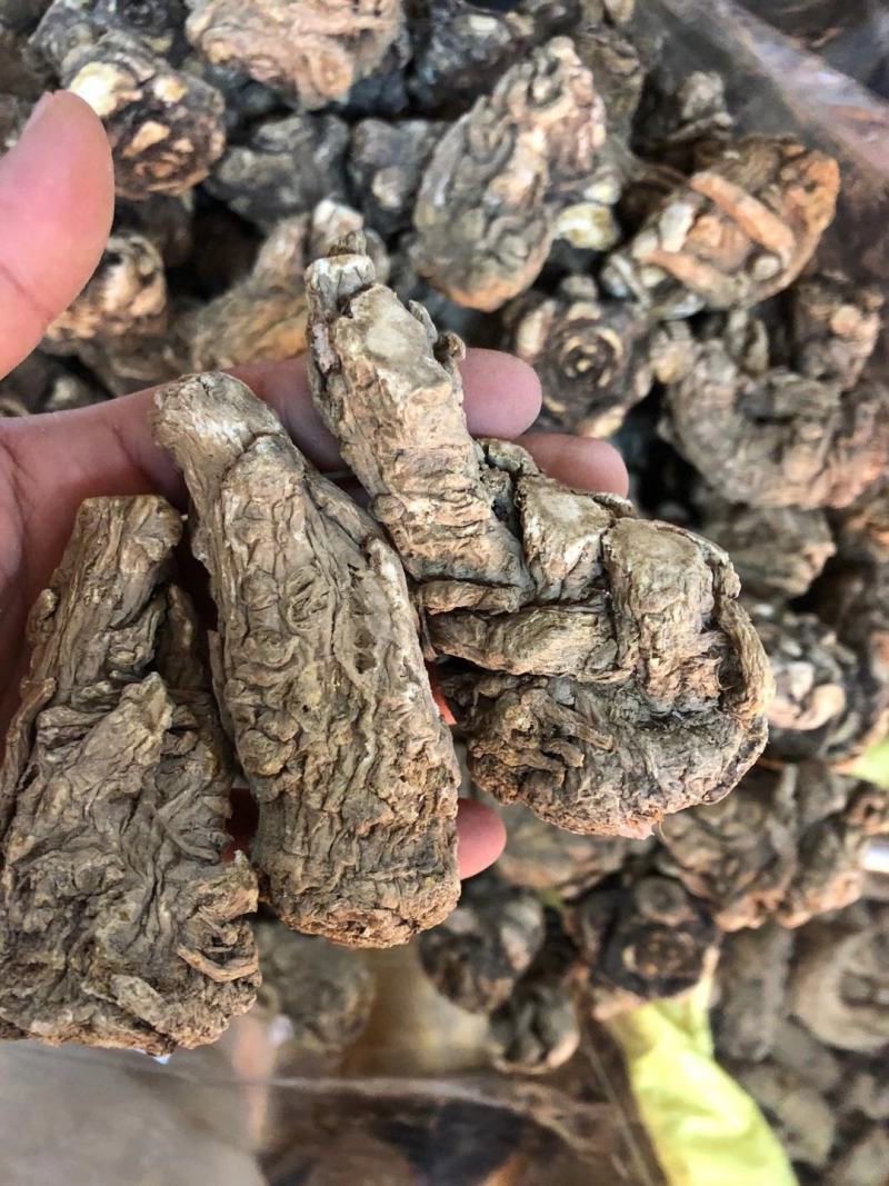 【产地直销】云南当归干货纯当归粉包邮