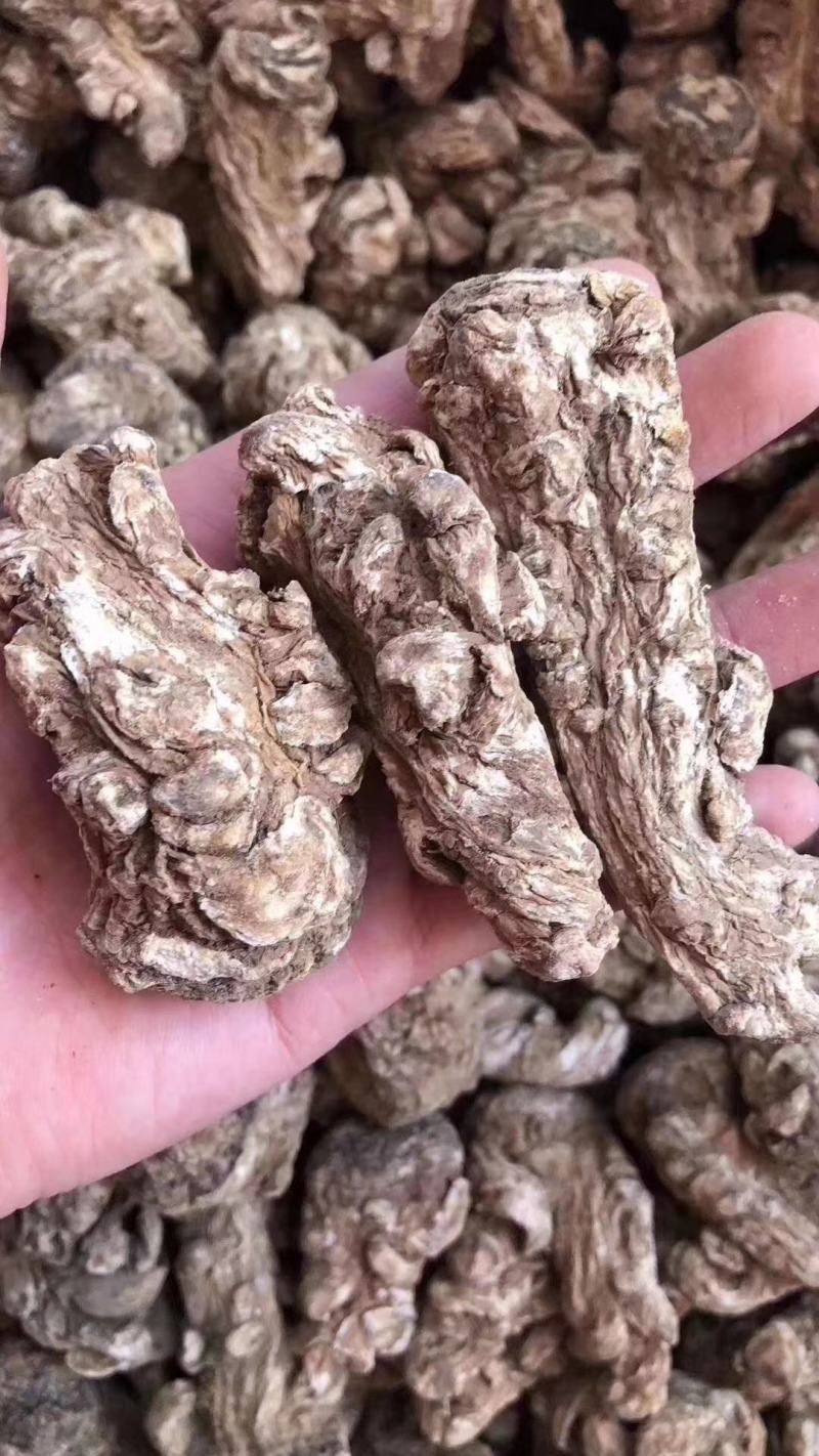 【产地直销】云南当归干货纯当归粉包邮
