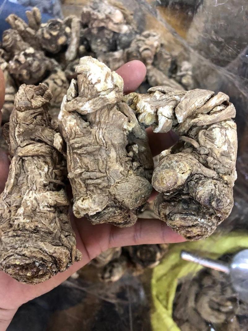 【产地直销】云南当归干货纯当归粉包邮