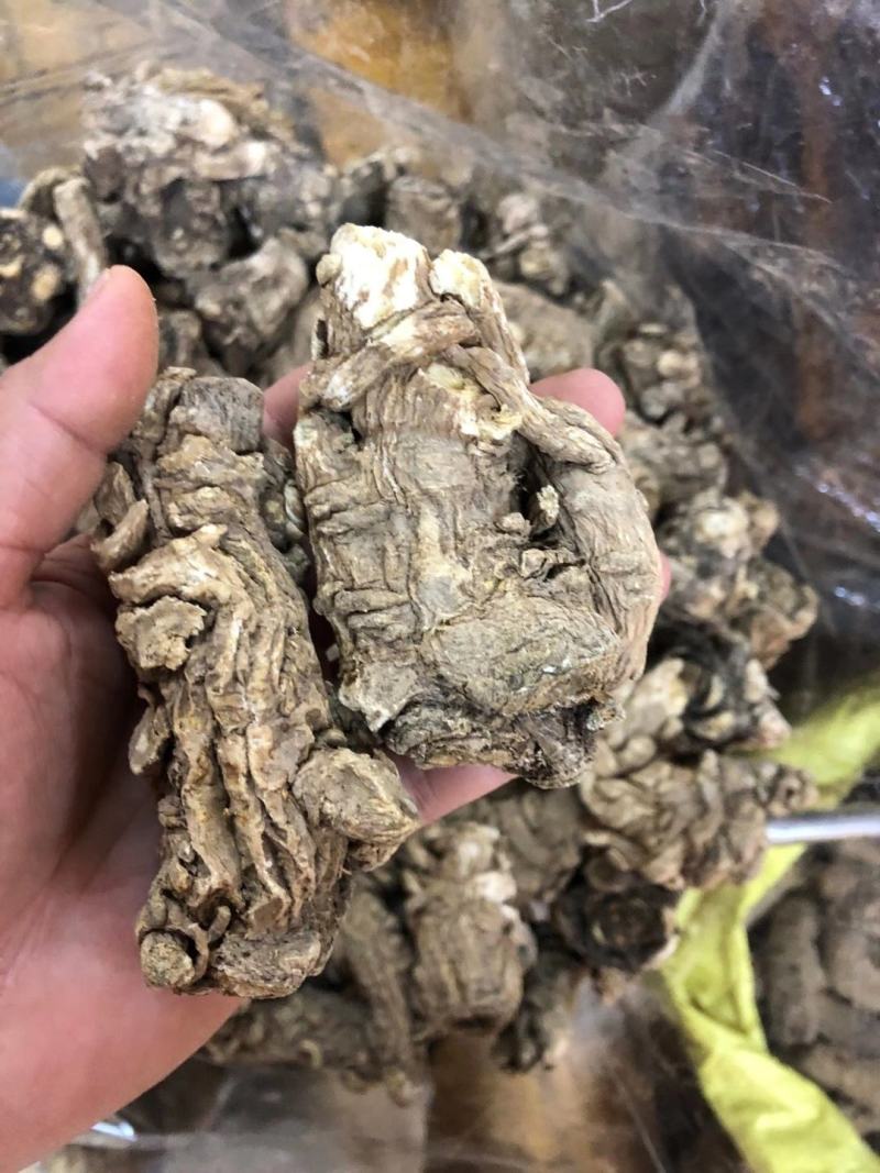 【产地直销】云南当归干货纯当归粉包邮