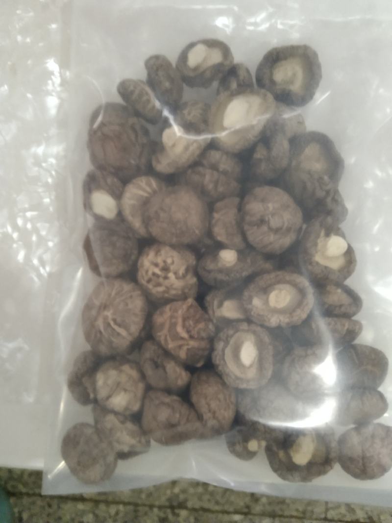 河南内乡菇乡2022年春栽袋料新品香浓干香菇，新品上特价