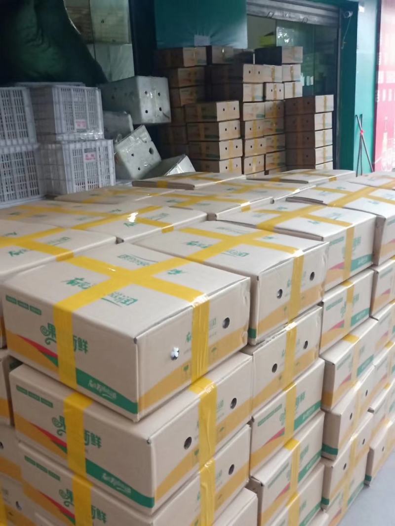 枇杷，攀枝花早钟枇杷大量上市中