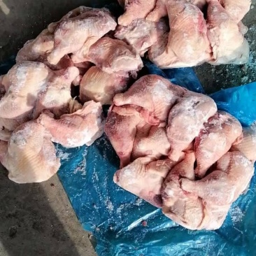 二级排腿，手续齐全。