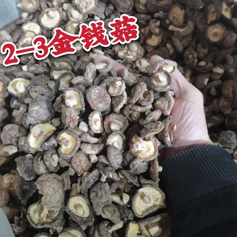 精品干茶花菇干麻花菇干香菇小香菇2—3公分3—4公分