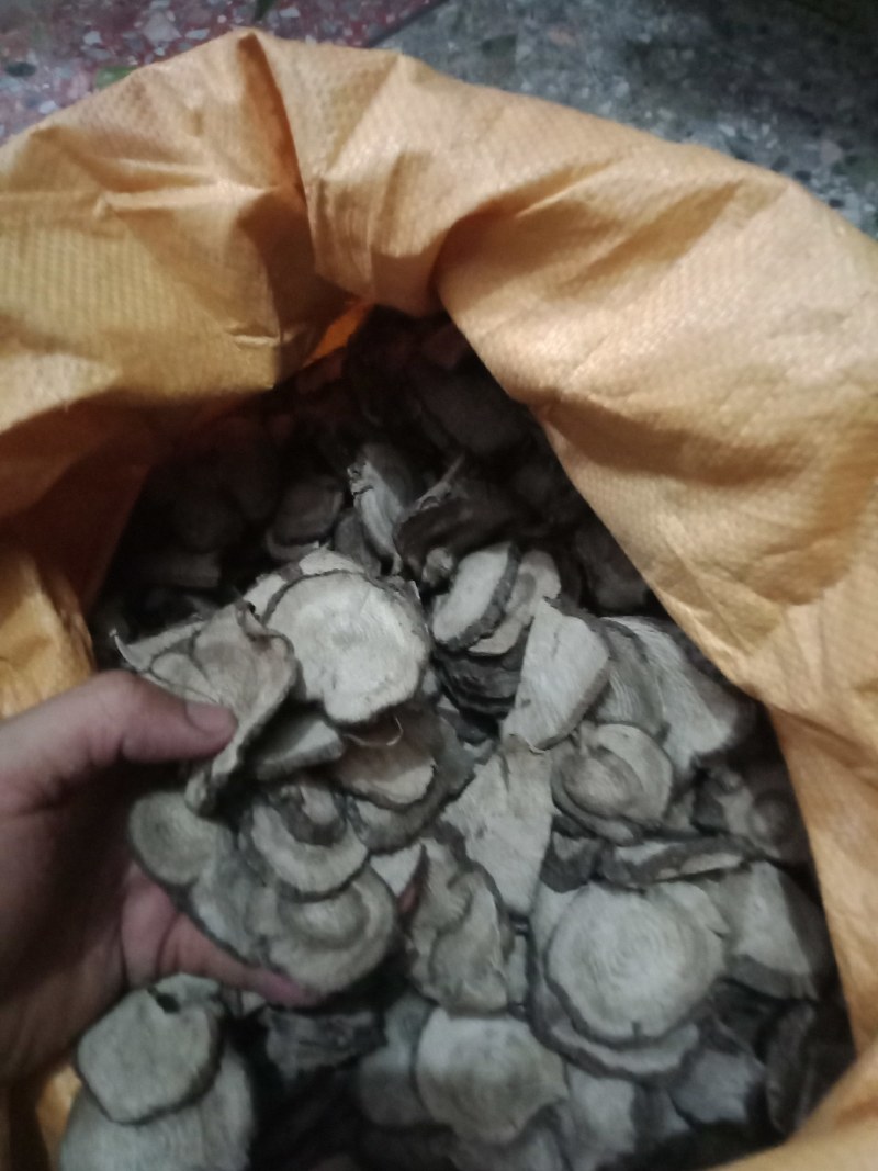 紫茉莉根干片。入地老鼠跟病。