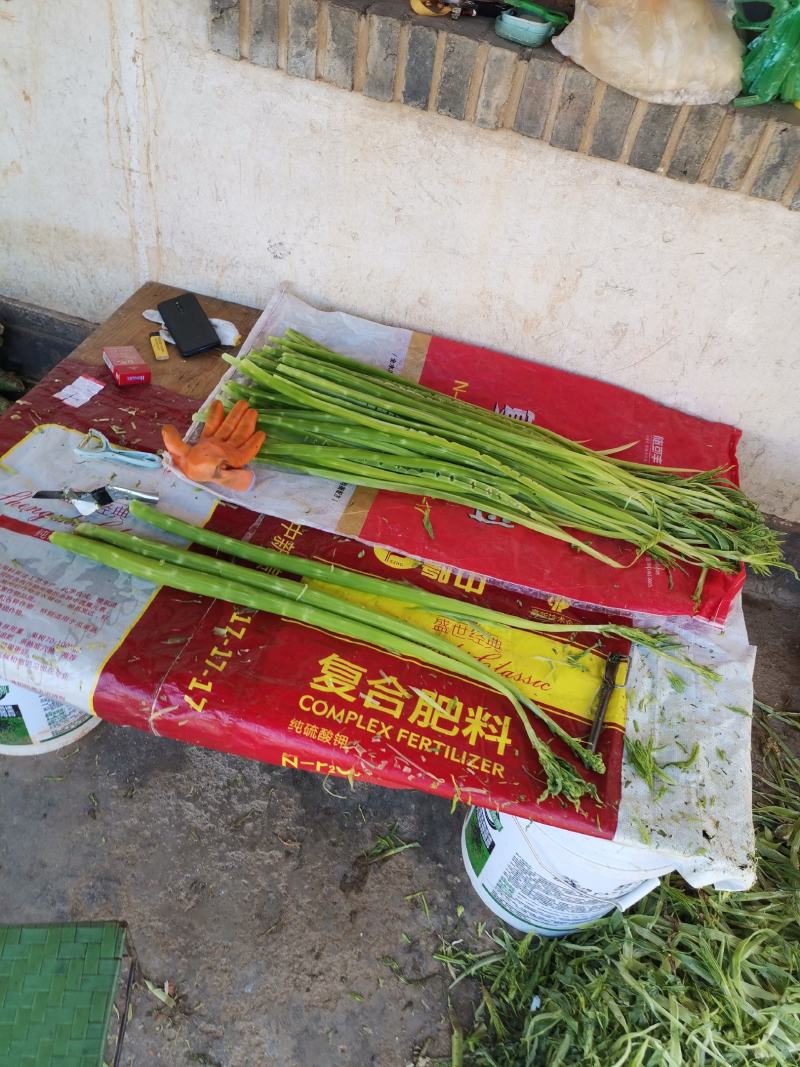 云南莴笋干贡菜苔干莴笋干莴笋干自制干货窝笋莴苣干，
