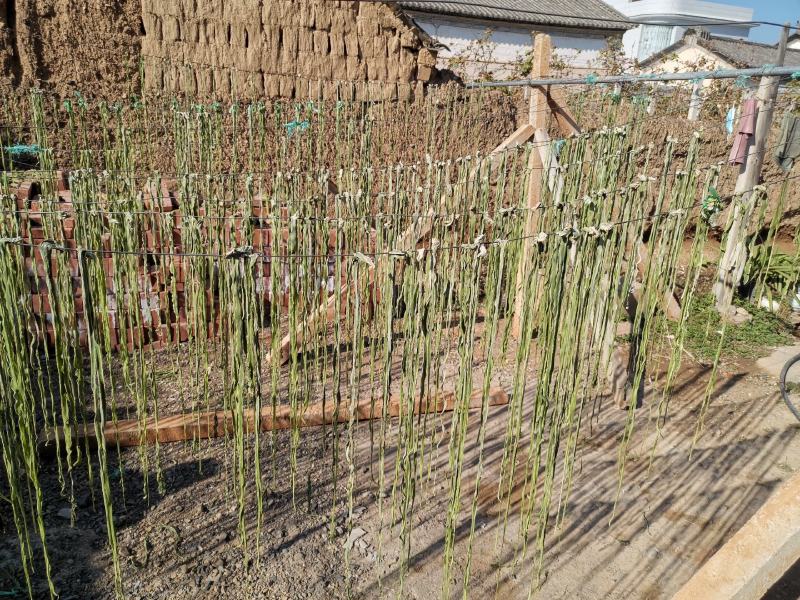 云南莴笋干贡菜苔干莴笋干莴笋干自制干货窝笋莴苣干，