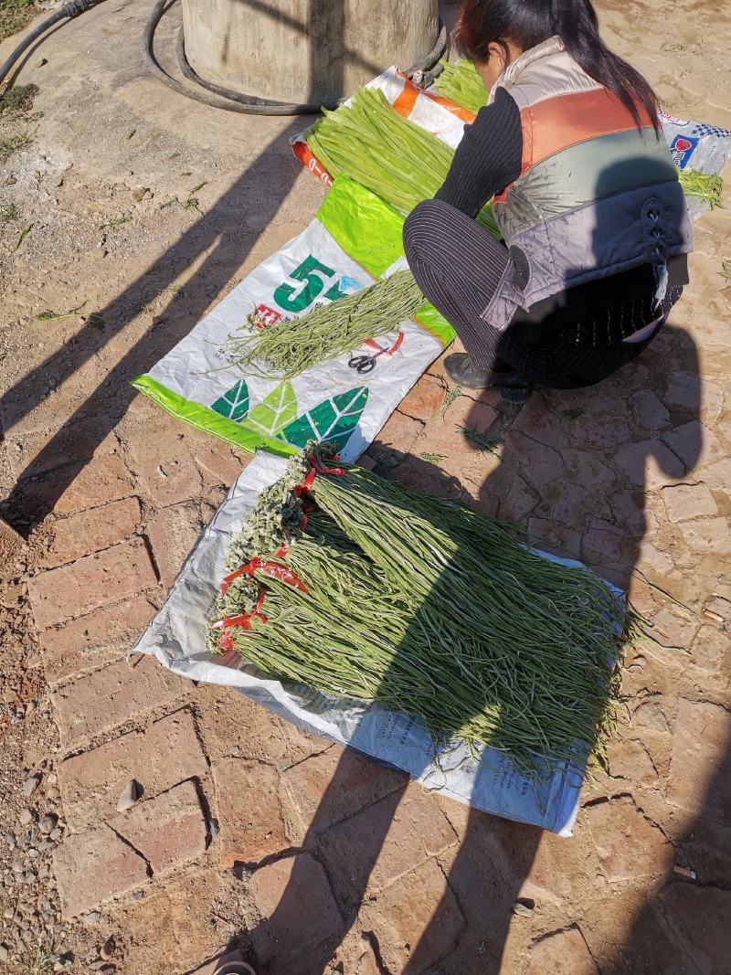 云南莴笋干贡菜苔干莴笋干莴笋干自制干货窝笋莴苣干，