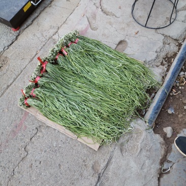 云南莴笋干贡菜苔干莴笋干莴笋干自制干货窝笋莴苣干，