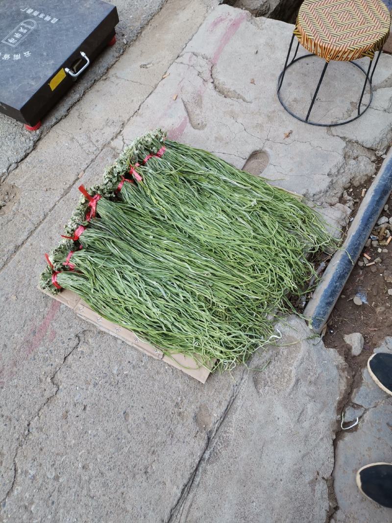 云南莴笋干贡菜苔干莴笋干莴笋干自制干货窝笋莴苣干，