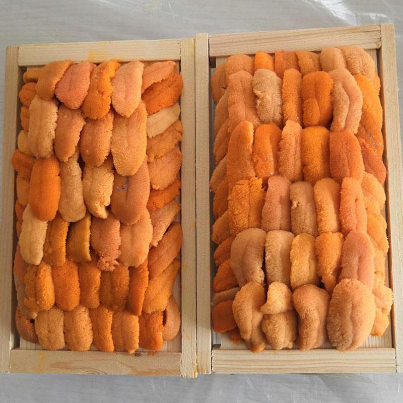 活鲜海胆批发可供日料店即食种类多样欢迎咨询