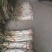 陕西，本地，长白大葱，葱杆子长，葱白亮！