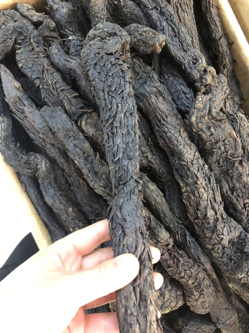 肉苁蓉，野生肉苁蓉，家种肉苁蓉，大量现货，可视频看货