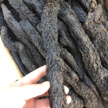 肉苁蓉，野生肉苁蓉，家种肉苁蓉，大量现货，可视频看货