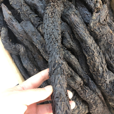 肉苁蓉，野生肉苁蓉，家种肉苁蓉，大量现货，可视频看货