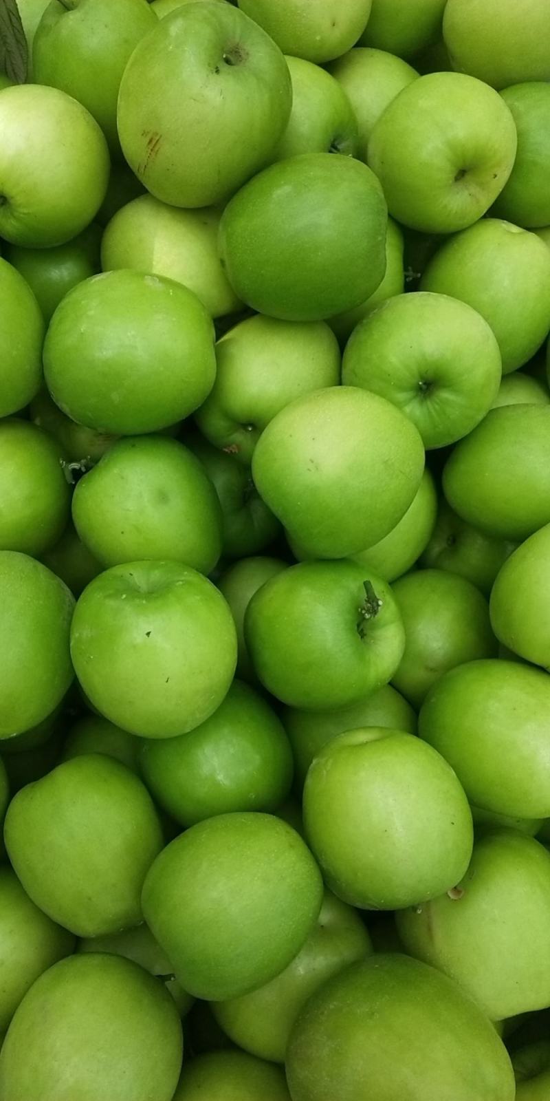 孟定阿豪瓜果蔬菜代办