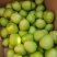 孟定阿豪瓜果蔬菜代办
