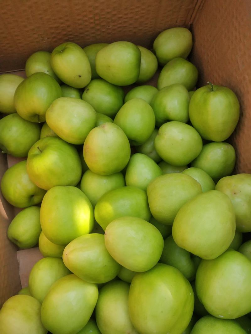 孟定阿豪瓜果蔬菜代办