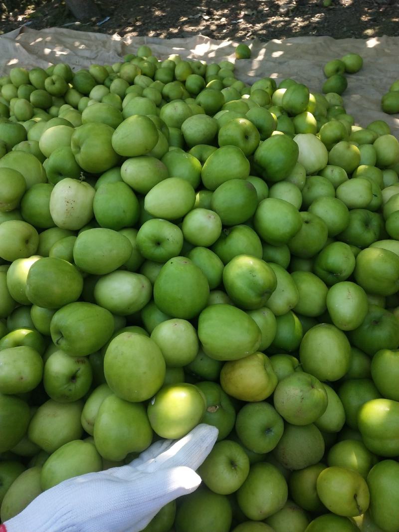 孟定阿豪瓜果蔬菜代办