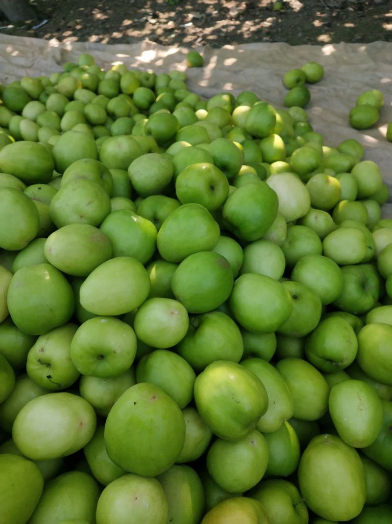 孟定阿豪瓜果蔬菜代办